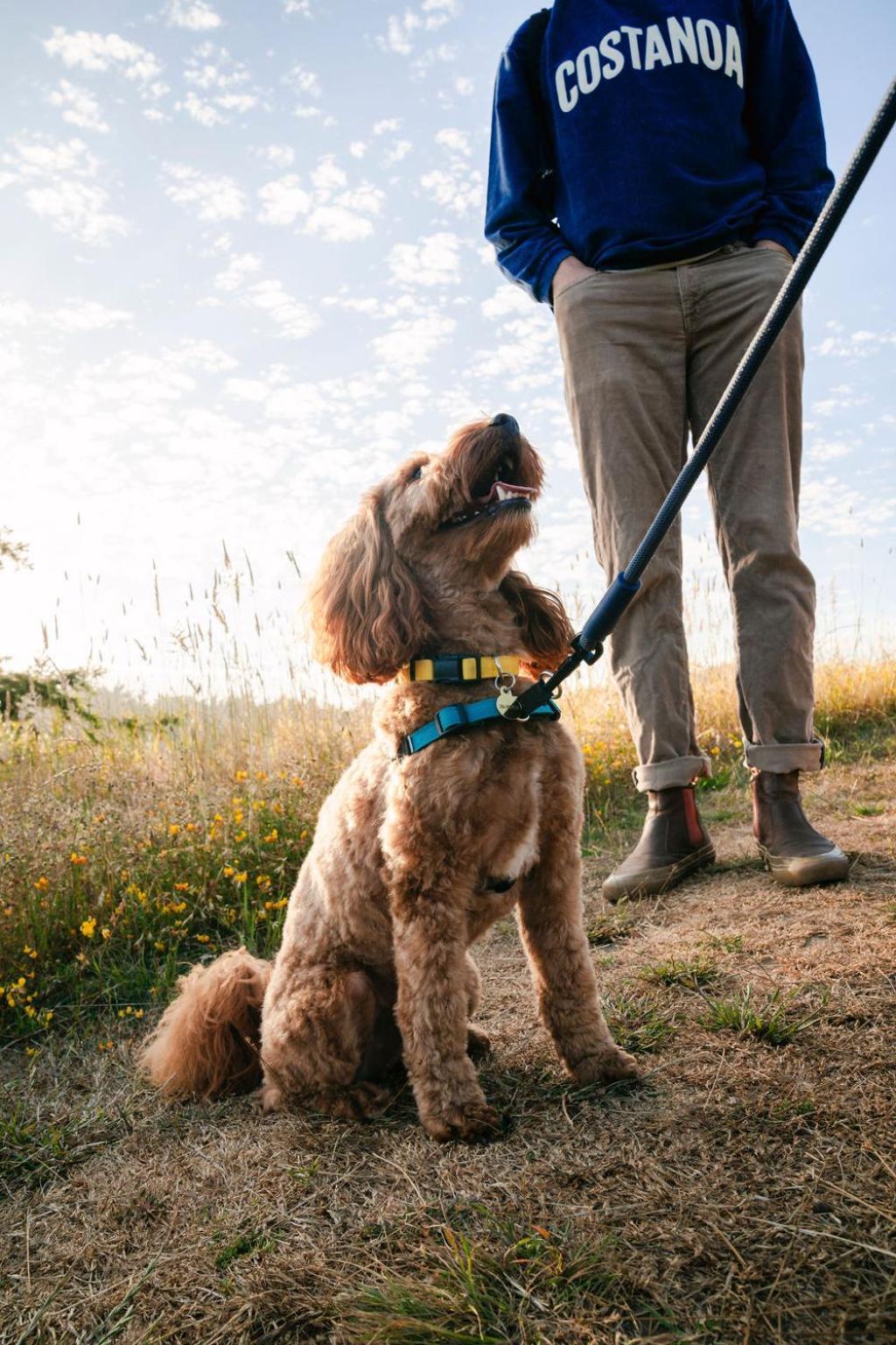 ホテル Costanoa ペスカデロ エクステリア 写真